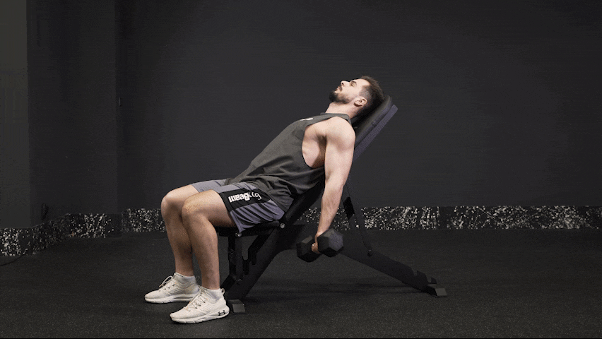 Як правильно виконувати скручування на біцепс з гантелями на похилій лаві