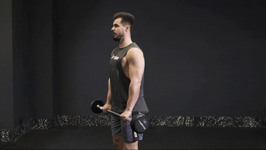 Як правильно виконувати скручення на біцепс зі штангою зворотним хватом?