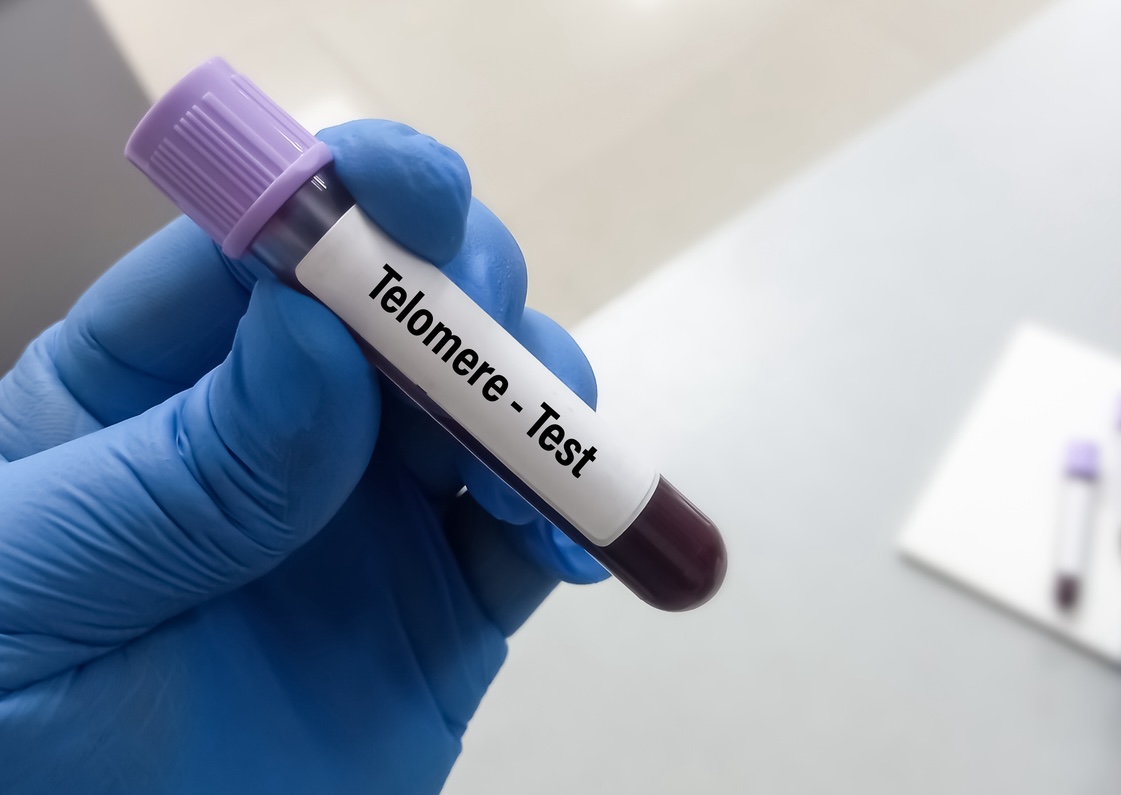 Длина теломер и старение организма
