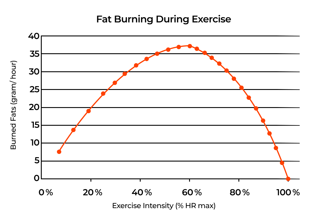 Сжигание жира во время тренировок