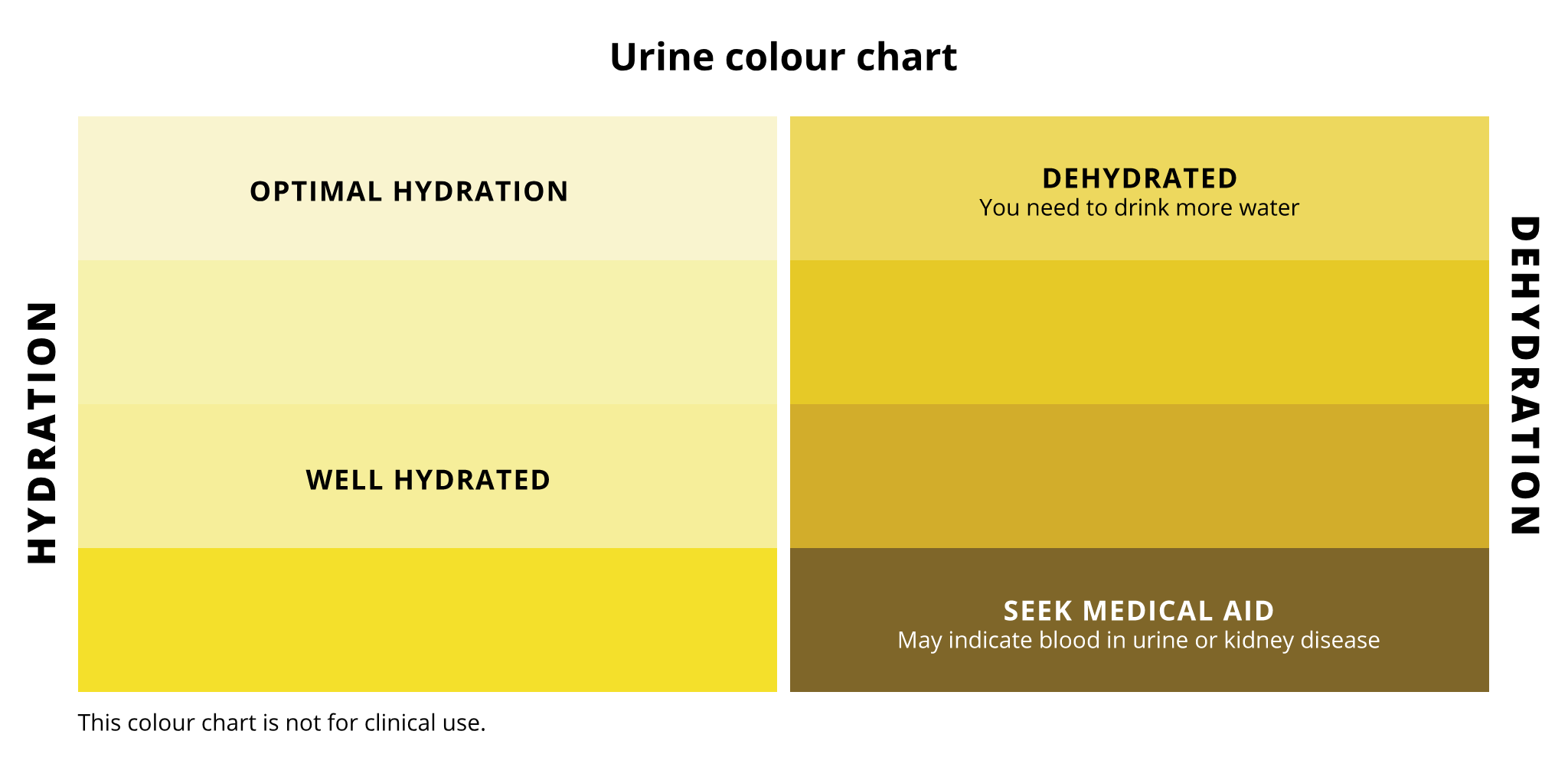 Схема кольору сечі