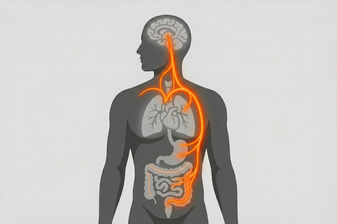 Вісь кишечник-мозок