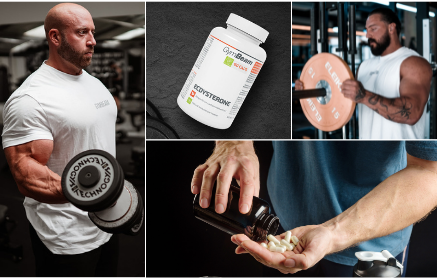 Экдистерон: Его влияние на рост мышц, силу и уровень тестостерона