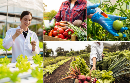 Генетически модифицированная пища: Спасение или угроза?