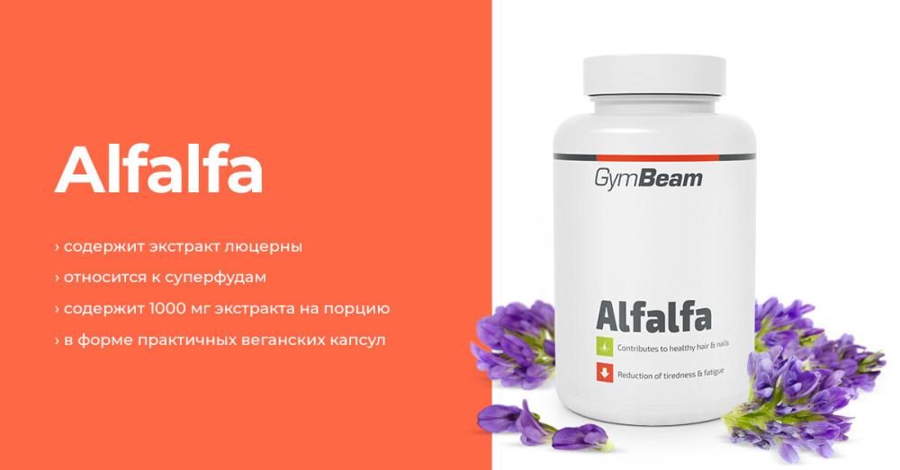 Alfalfa - GymBeam Alfalfa - GymBeam