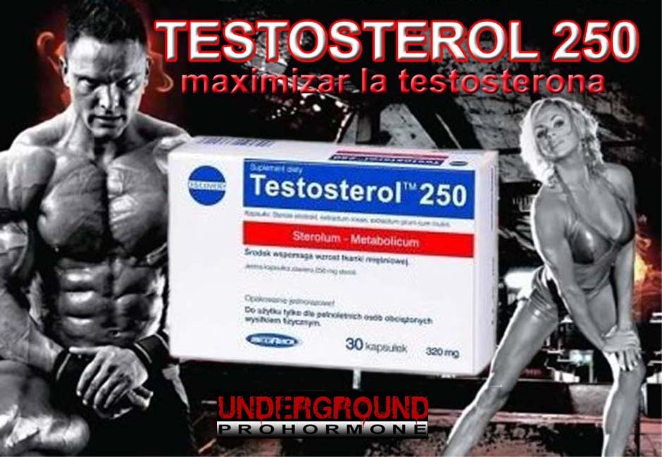 testosterol природный анаболизатор