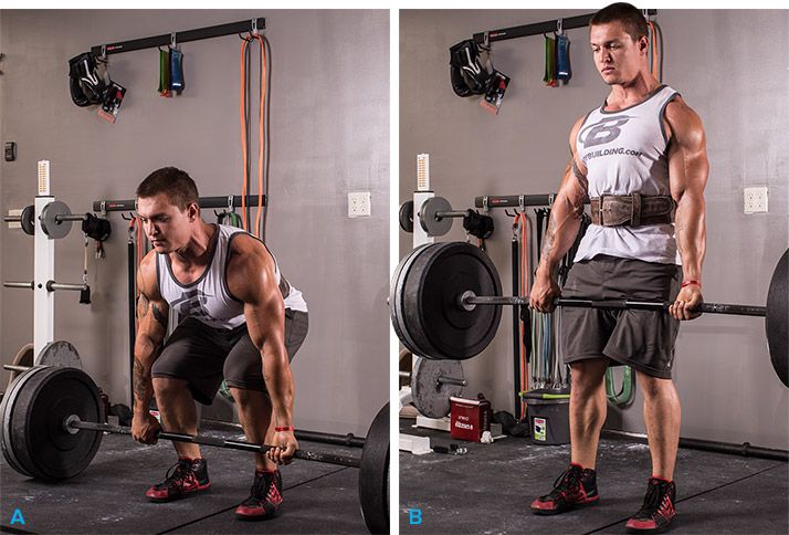 Неопреновый пояс frank